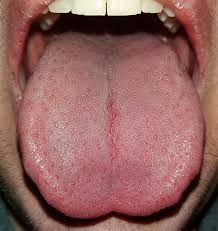 ajab-Image