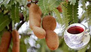 ajab-Image